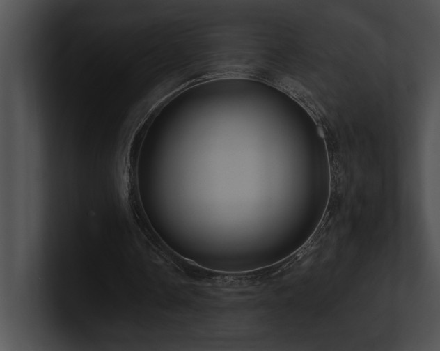 X0000100890338200806241236