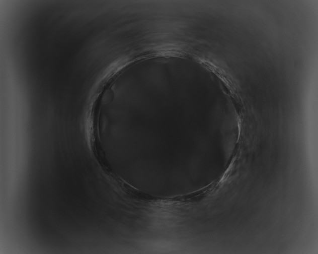 X0000100890339200806241236