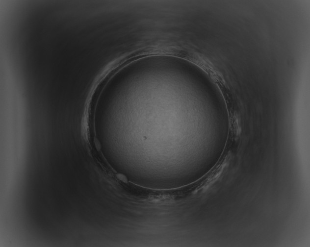 X0000100890340200806241236