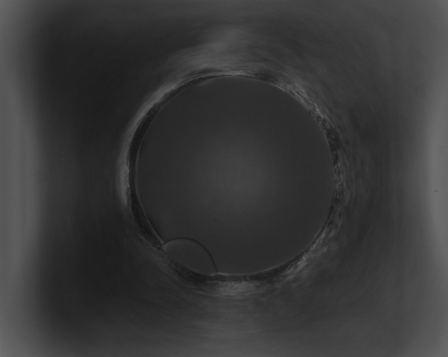 X0000100890342200806241236
