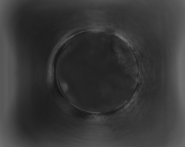 X0000100890343200806241236