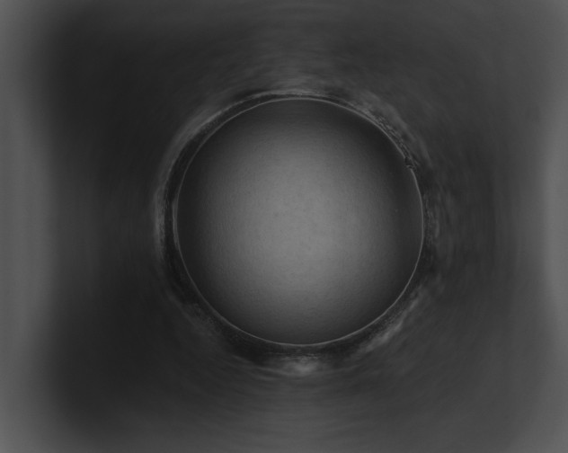 X0000100890344200806241236
