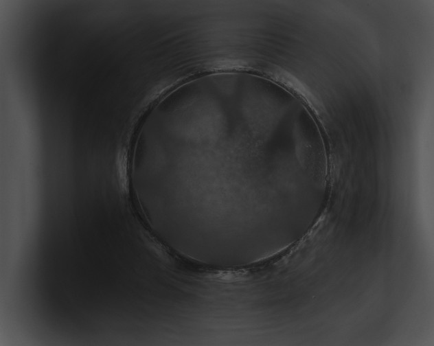 X0000100890345200806241236