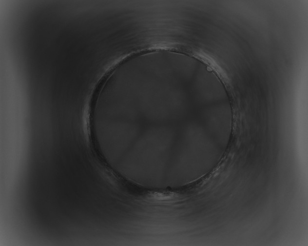 X0000100890346200806241236