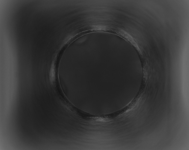 X0000100890347200806241236