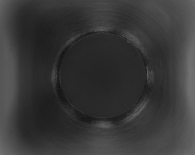 X0000100890348200806241236