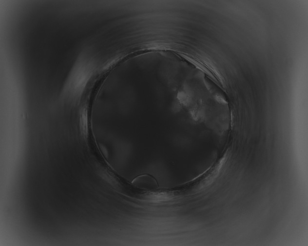 X0000100890349200806241236