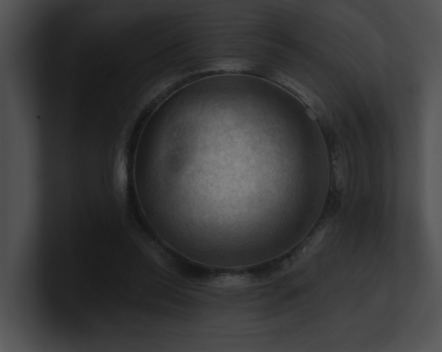 X0000100890350200806241236