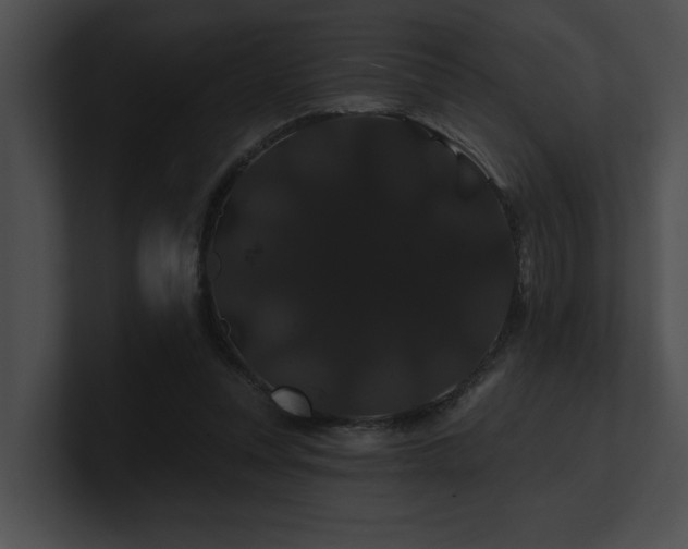 X0000100890351200806241236