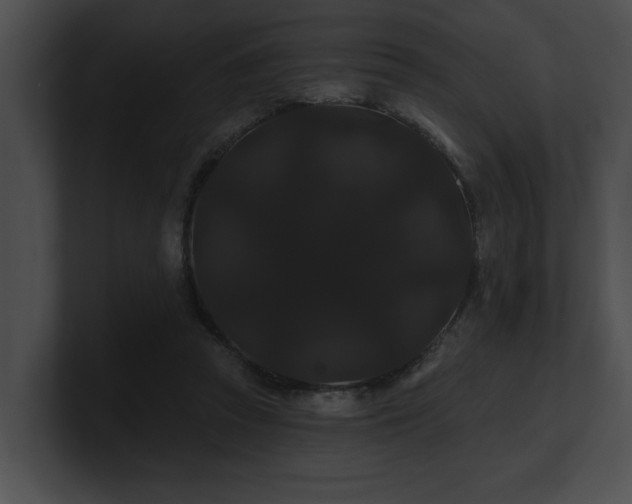 X0000100890353200806241236