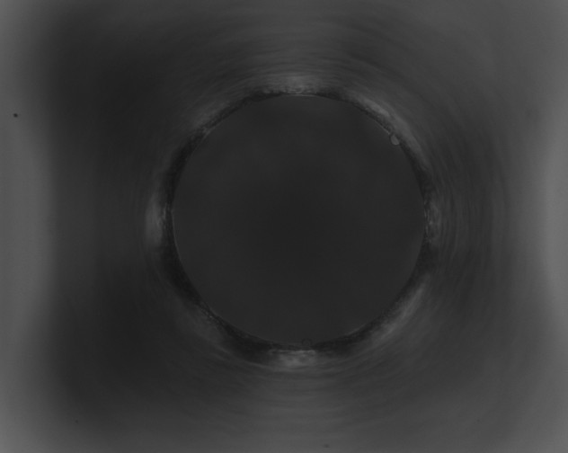 X0000100890355200806241236