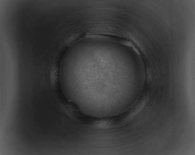 X0000100890356200806241236