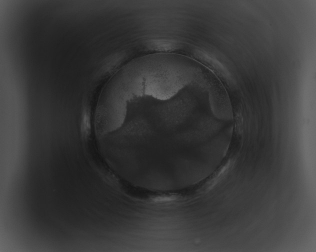 X0000100890358200806241236