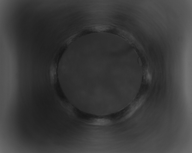 X0000100890360200806241236