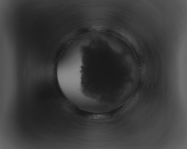 X0000100890361200806241236