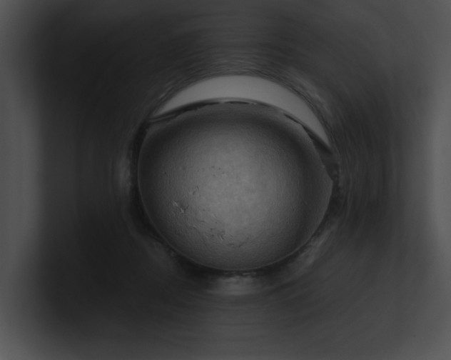 X0000100890362200806241236