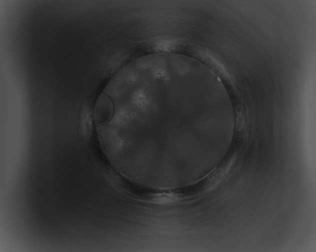 X0000100890363200806241236