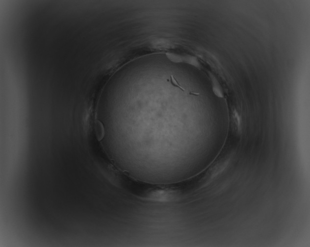 X0000100890364200806241236