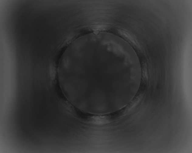 X0000100890367200806241236