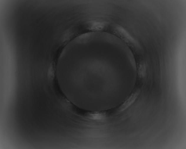 X0000100890370200806241236