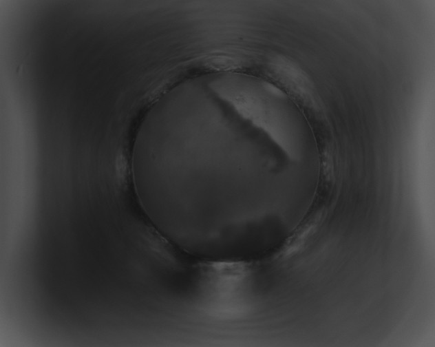 X0000100890371200806241236