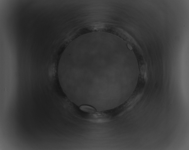 X0000100890372200806241236