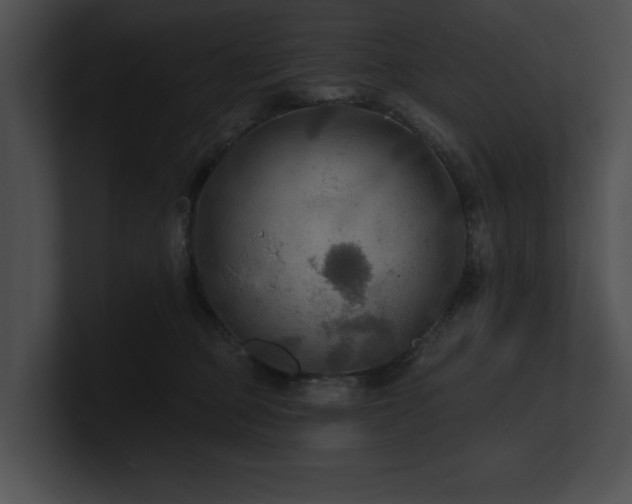 X0000100890373200806241236
