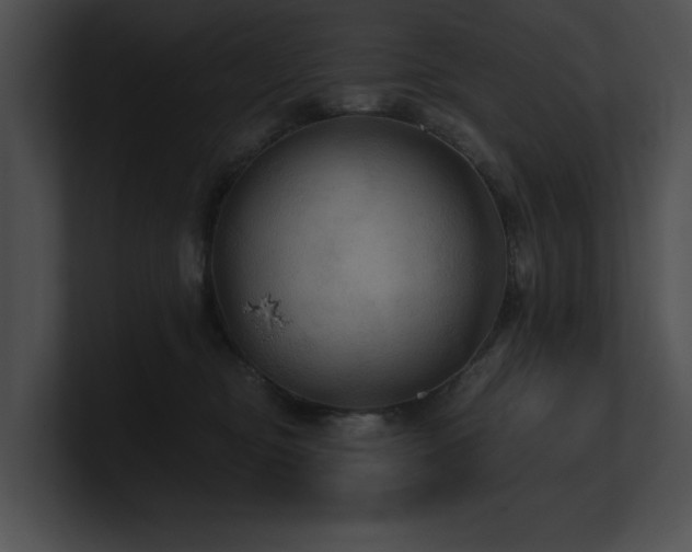 X0000100890374200806241236