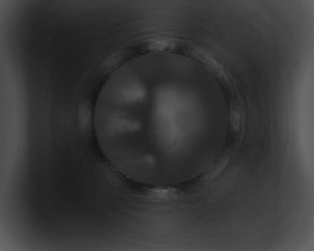 X0000100890375200806241236
