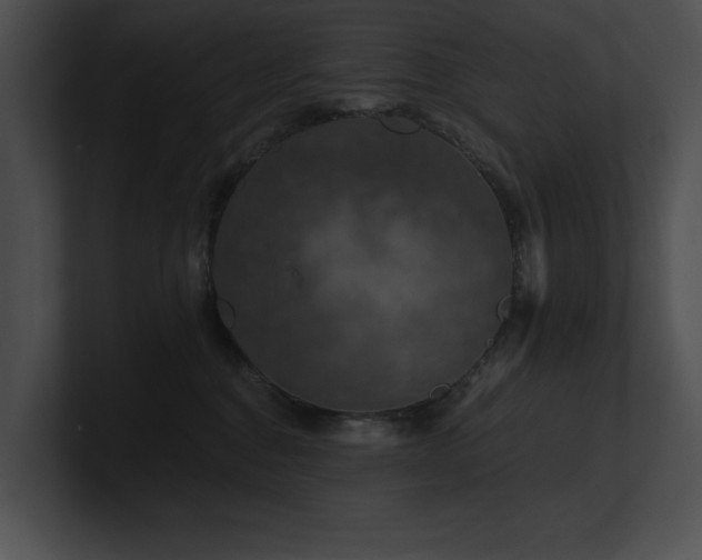 X0000100890376200806241236