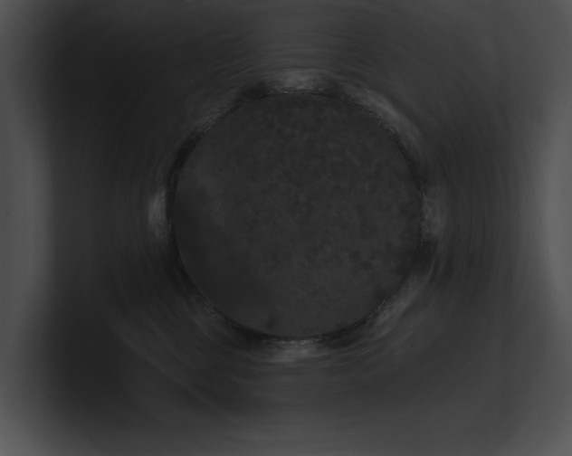 X0000100890377200806241236