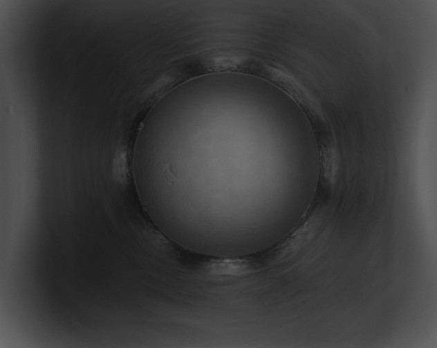 X0000100890378200806241236