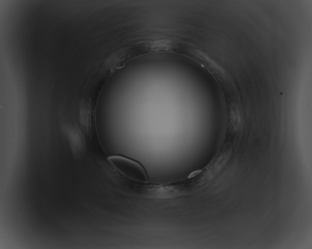 X0000100890379200806241236