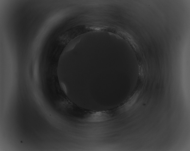 X0000100890382200806241236