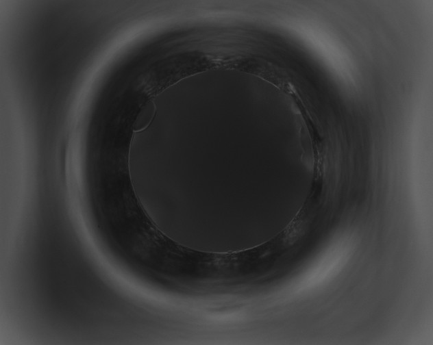X0000100890383200806241236