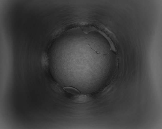 X0000100890384200806241236