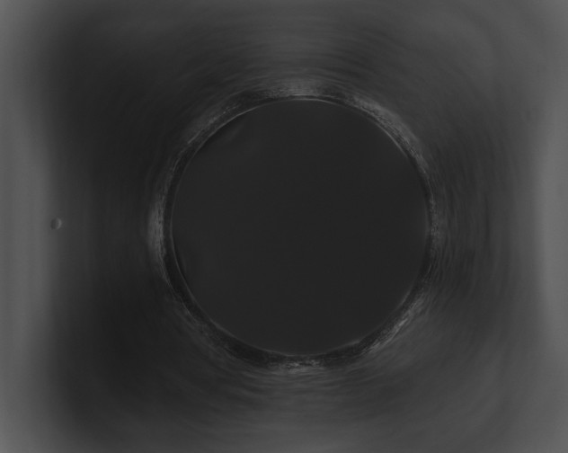 X0000100890386200806241236