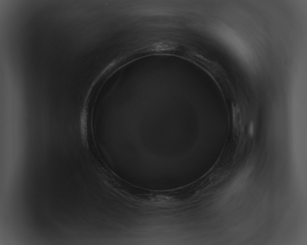 X0000100890387200806241236