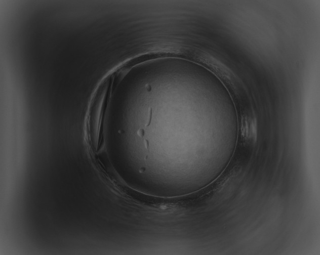 X0000100890388200806241236