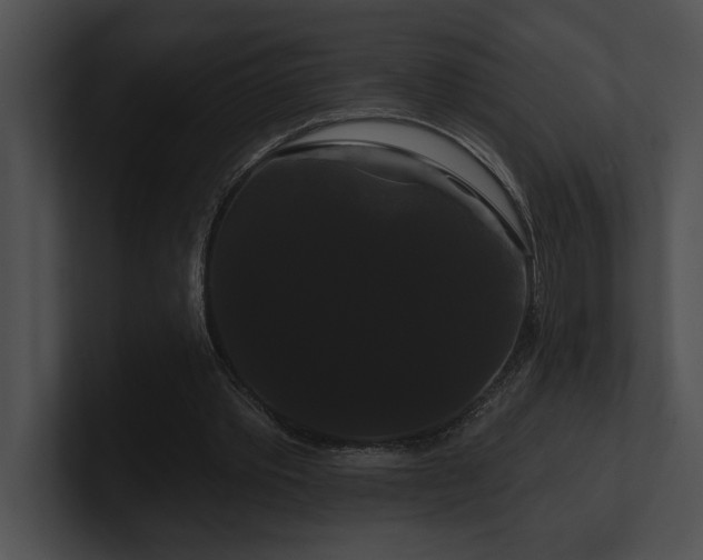 X0000100890389200806241236