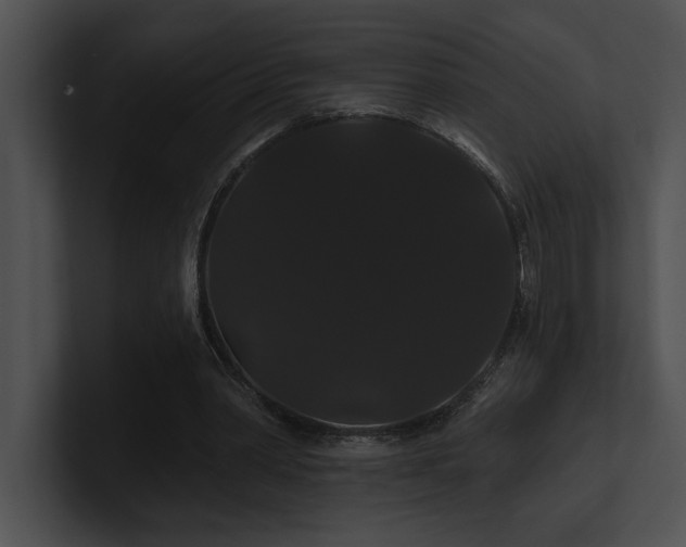 X0000100890390200806241236