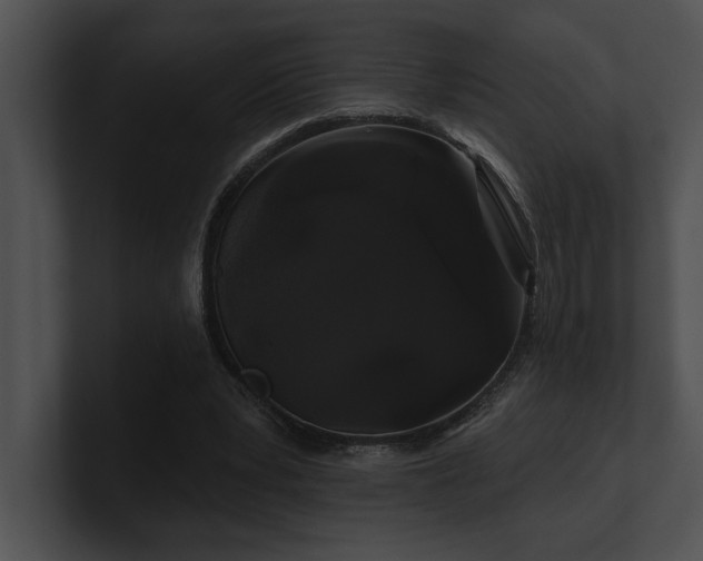X0000100890391200806241236