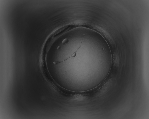 X0000100890392200806241236