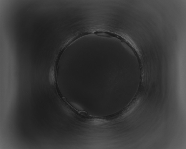 X0000100890393200806241236