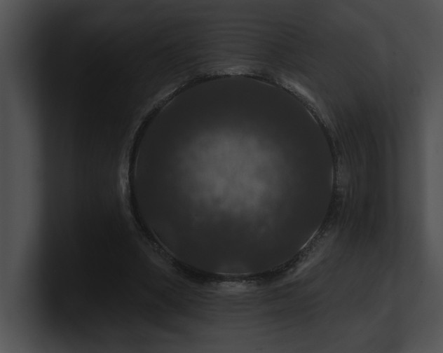 X0000100890394200806241236