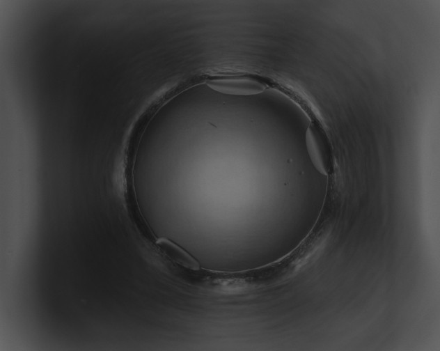 X0000100890395200806241236