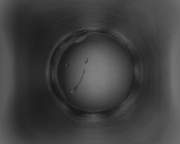 X0000100890396200806241236