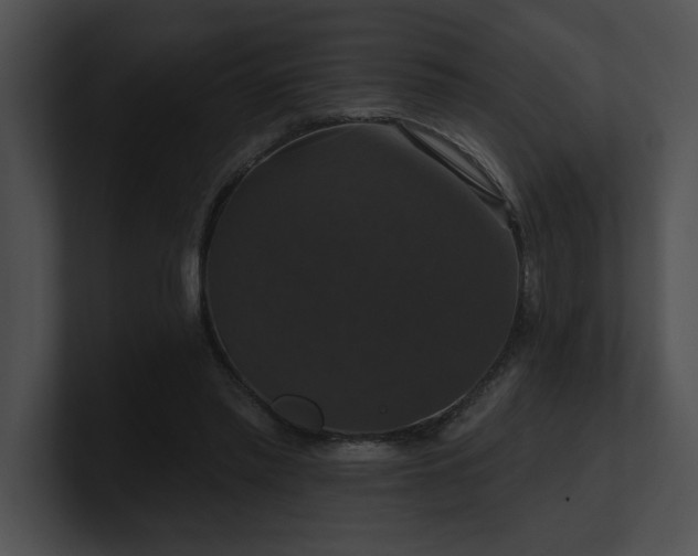 X0000100890397200806241236