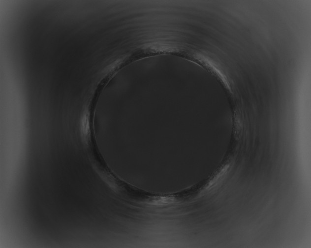 X0000100890398200806241236