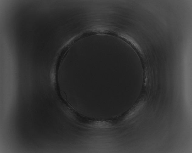 X0000100890399200806241236